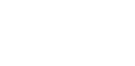 blum Health IT Services